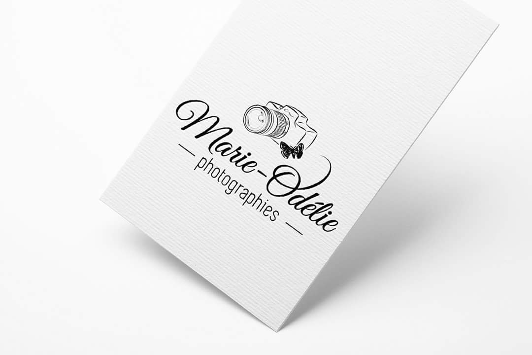 FB_IMG_1516891649803 création logo illustration photographe troyes