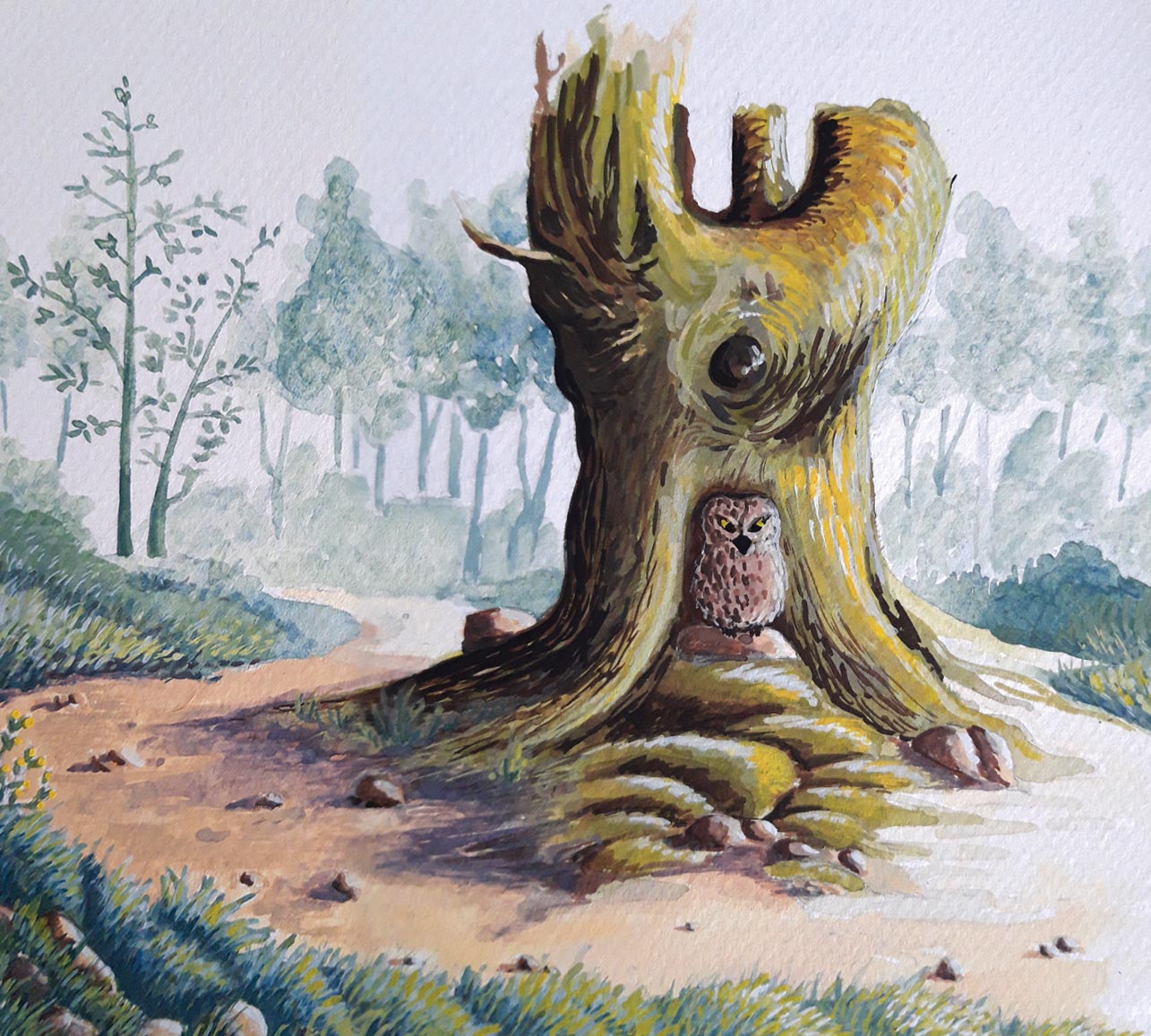 illustration gouache hibou illustration gouache
