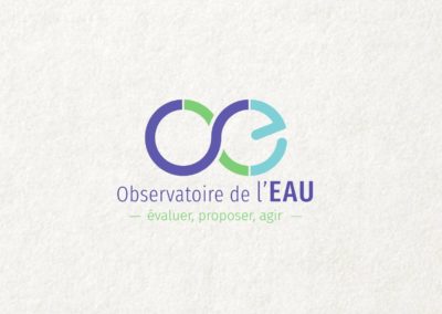 Vidéo motion design – Observatoire de l’Eau